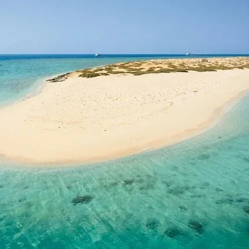 Schnorcheln auf der Utopia Insel